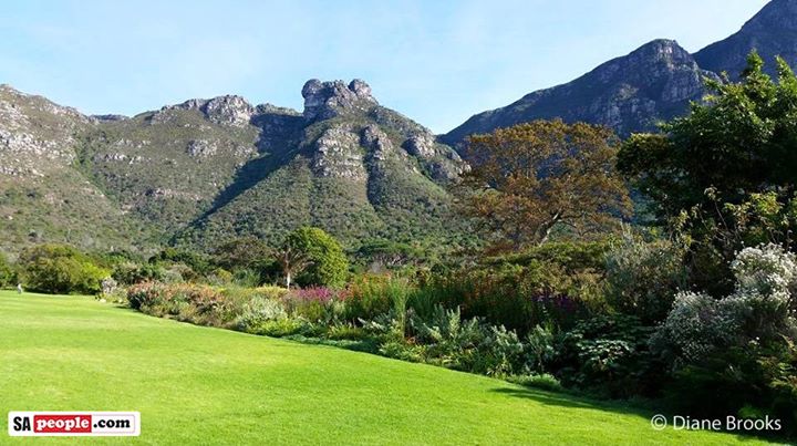 Kirstenbosch on a perfect autumn morning Kirstenbosch on a perfect autumn morning