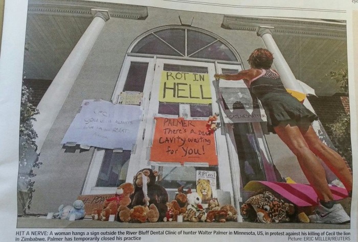 Cecil the Lion picture Cecil the Lion picture