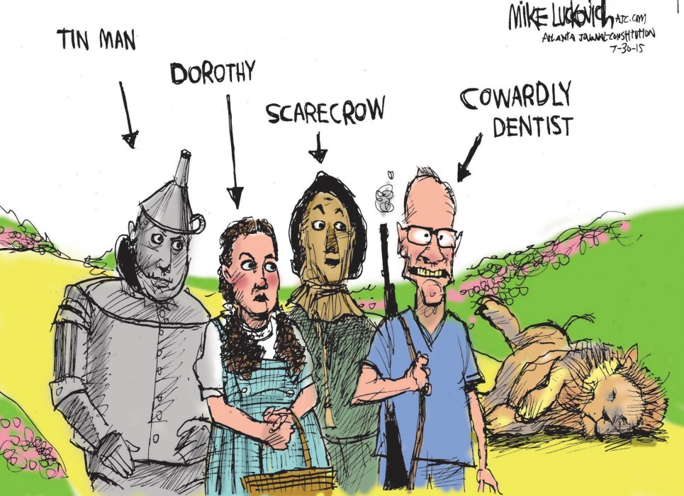 Cecil the Lion picture Cecil the Lion picture