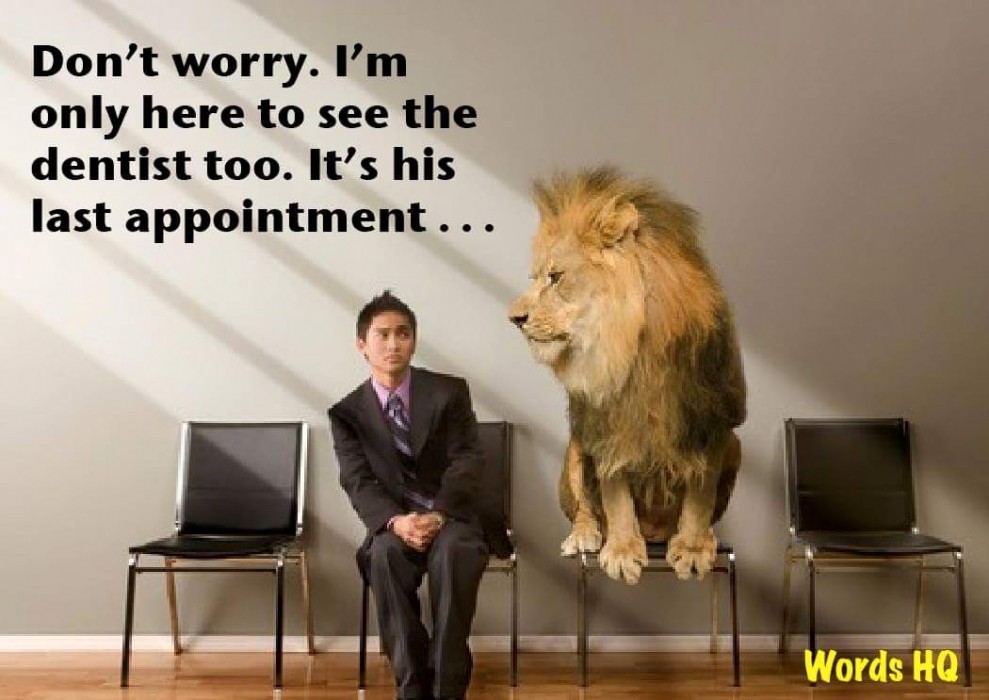 Cecil the Lion picture Cecil the Lion picture