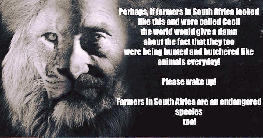 Cecil the Lion picture Cecil the Lion picture