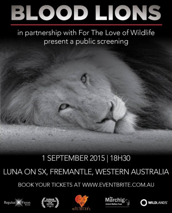 lood Lions Movie South Africa