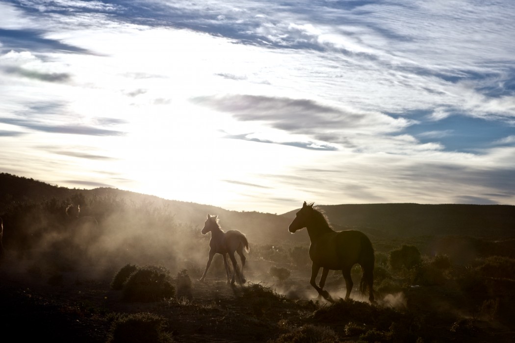 The Boers at the End of the World South Africa The Boers at the End of the World South Africa