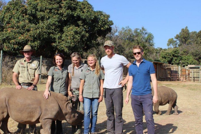 Prince Harry with rhino in South Africa. Prince Harry with rhino in South Africa.