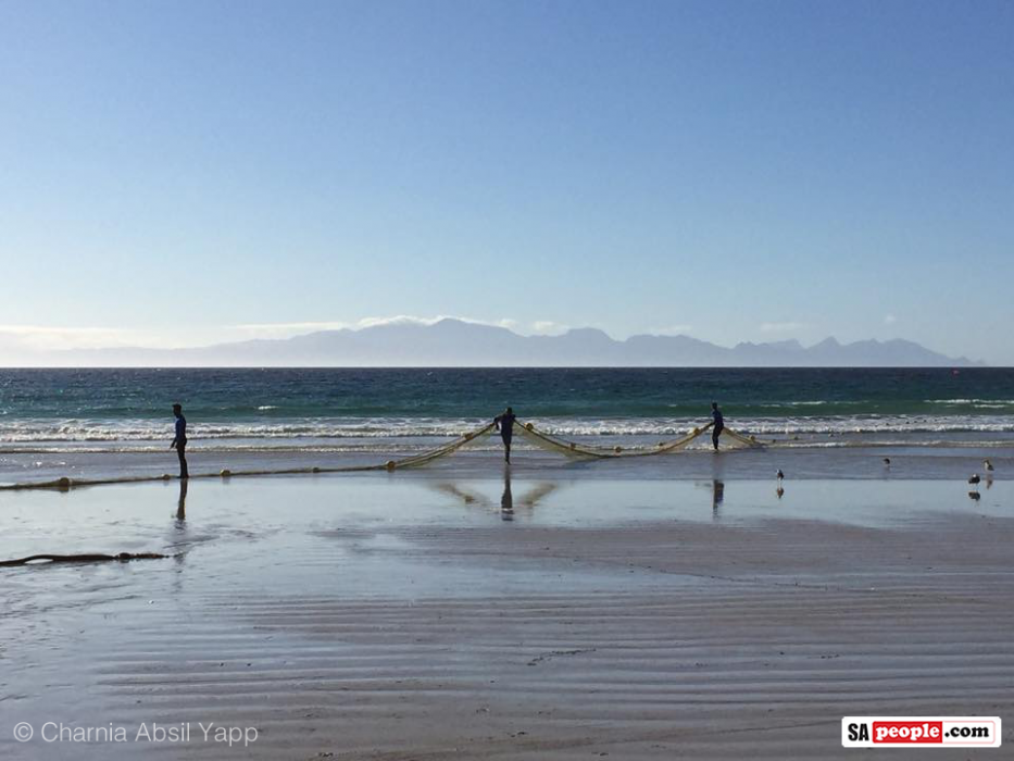 Shark nets in South Africa Shark nets in South Africa