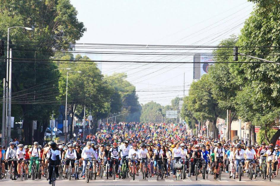 Cyclists Cyclists