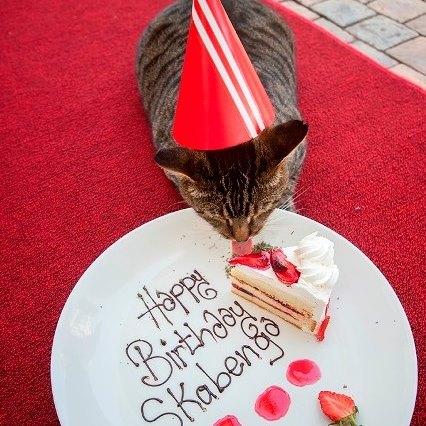 Happy Birthday Skabenga Happy Birthday Skabenga