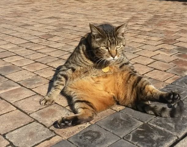 Skabenga chilling Skabenga chilling