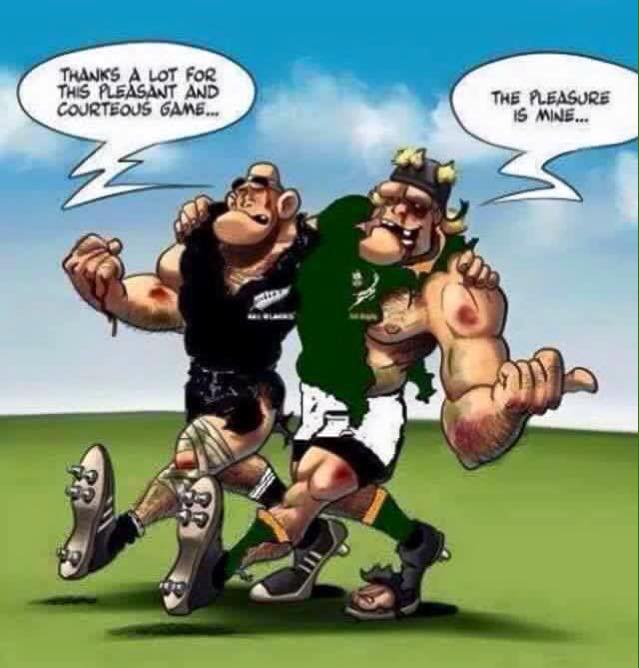 Springboks Springboks