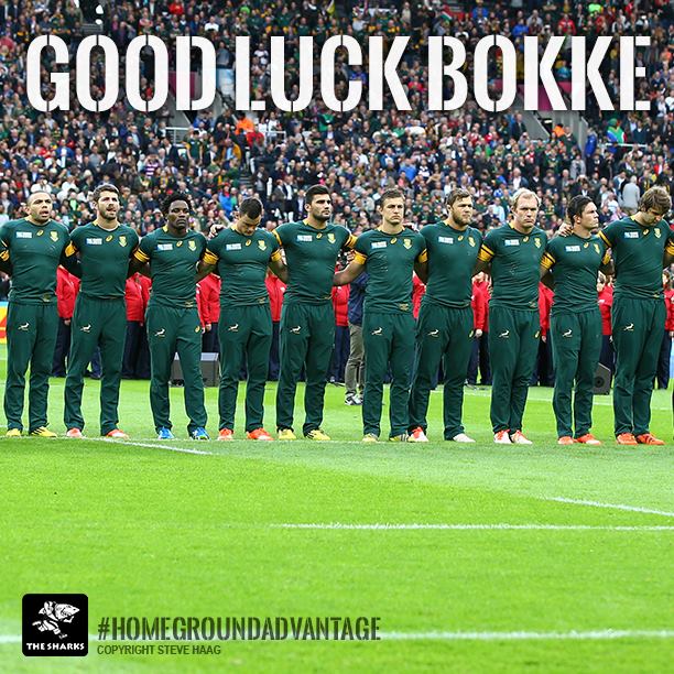 Springboks rugby Springboks rugby