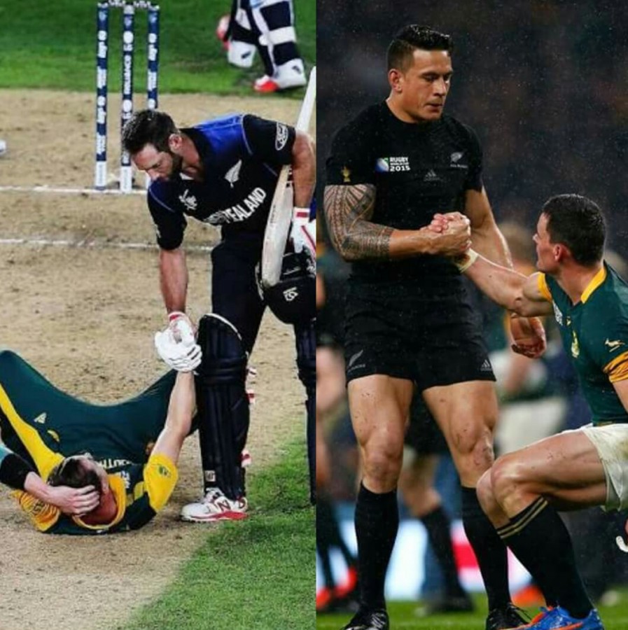 Springboks & All Blacks Springboks & All Blacks