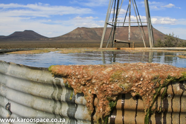 lowroads0005 karoo diary