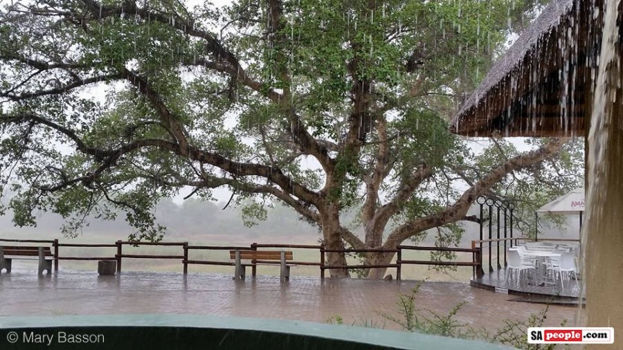 Rain in the Kruger Rain in the Kruger