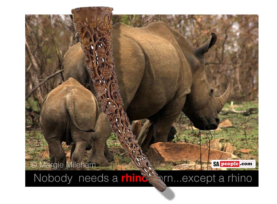 Rhino horn Rhino horn