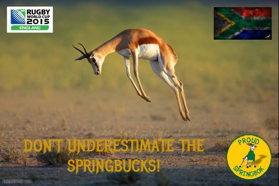Dino Deroukakis to ‎SA-People - for South Africans in South Africa and expats September 27 at 5:55pm · Proud Springbok