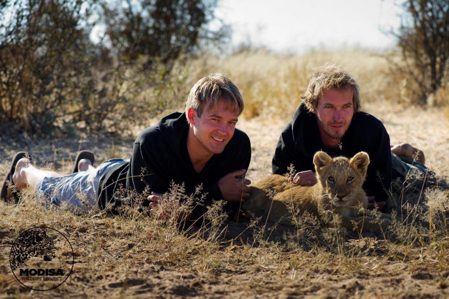 gruener-legarth Modisa co-founders