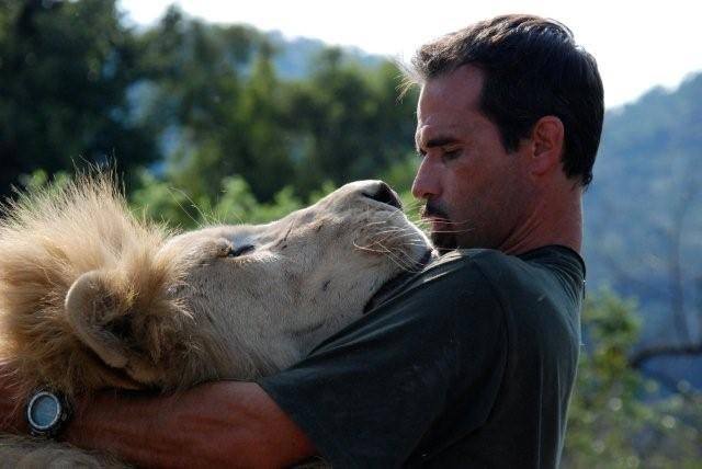 lion-richardson lion-richardson