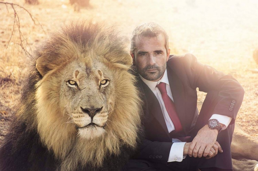Kevin Richardson in an ad with a lion Kevin Richardson in an ad with a lion