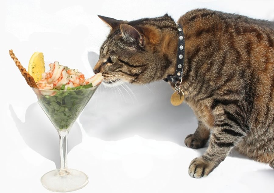 Prawn cocktails for Skabenga Prawn cocktails for Skabenga