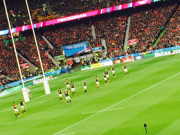 springboks-pumela springboks-pumela