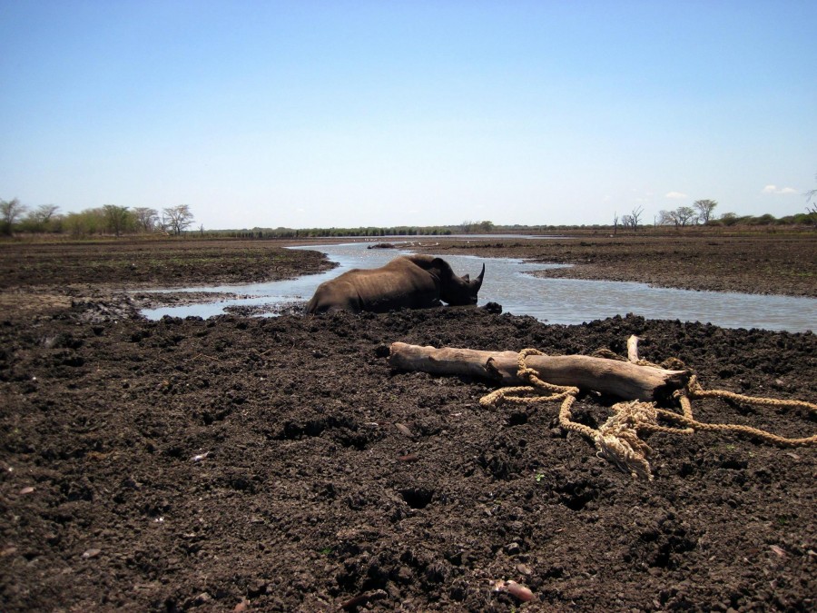 Drought South Africa