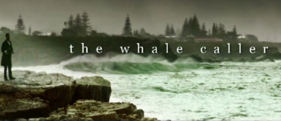 whalecaller whalecaller