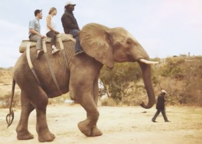 Elephant riding in Africa Elephant riding in Africa