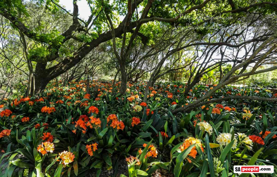Babylonstoren, Cape Town Babylonstoren, Cape Town