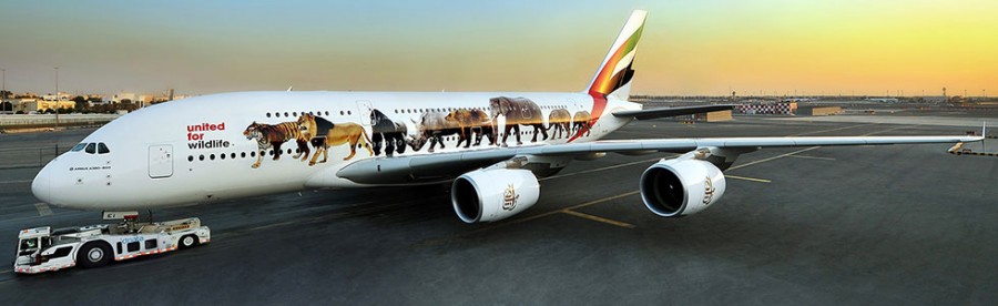 emirates-wildlife