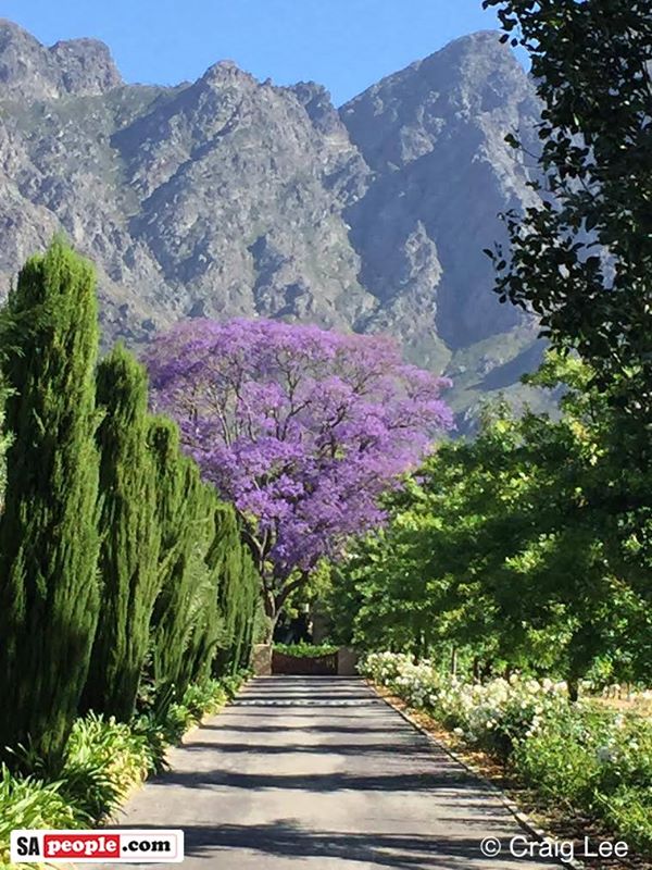 franschhoek franschhoek