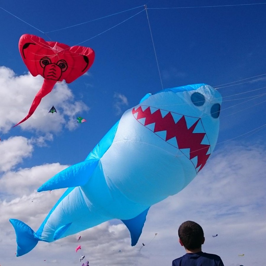While the kites were still flying. Source: Cape Town Kite Festival Facebook page.