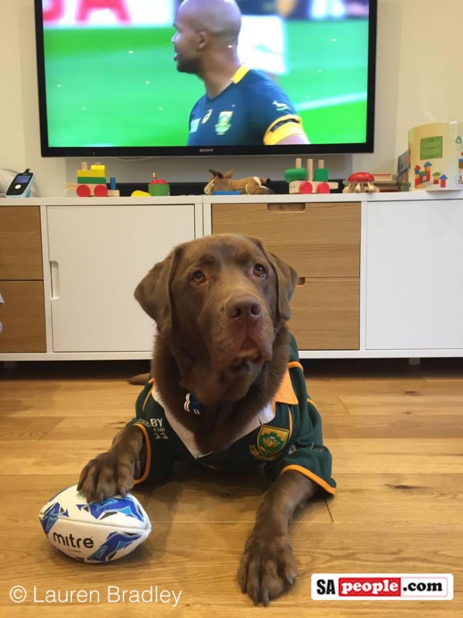 Could TV be the missing piece in rugby transformation? Could TV be the missing piece in rugby transformation?