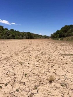 Drought South Africa Drought South Africa