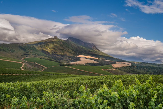 Kanonkop Wine Estate Kanonkop Wine Estate