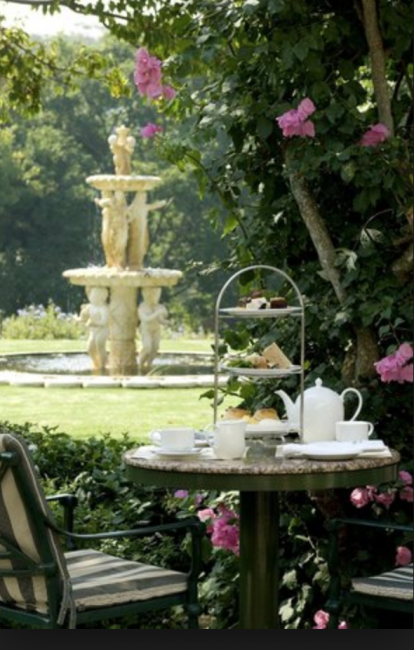 vineyard-hightea vineyard-hightea