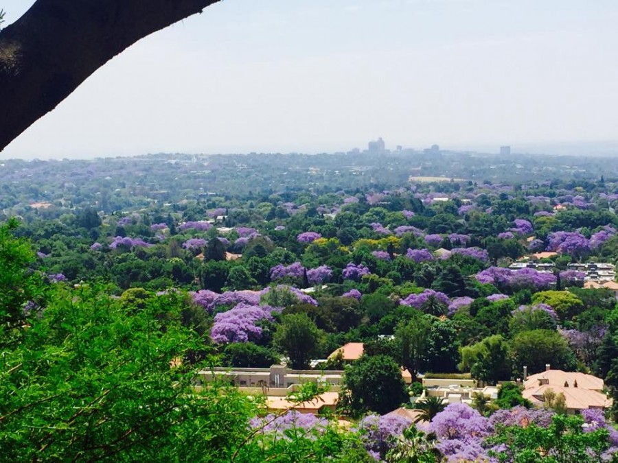 johannesburg johannesburg