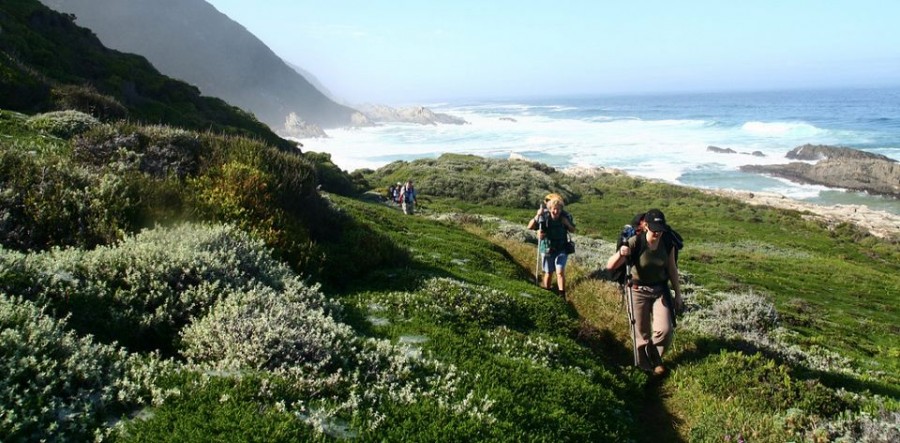 Otter Trail for hikers Otter Trail for hikers
