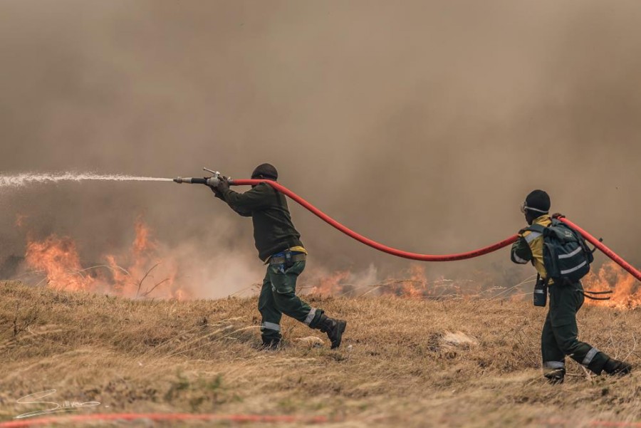 PICTURES from Fire in Ocean View and Kommetjie, South Africa SAPeople