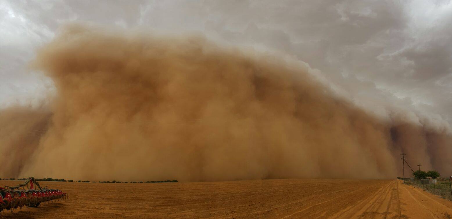 Image result for sandstorm