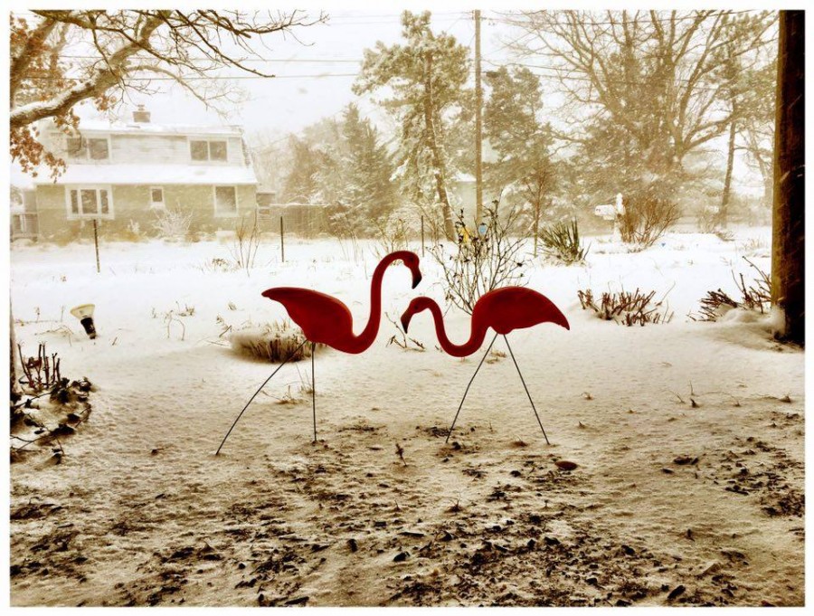 Snow storm in the USA