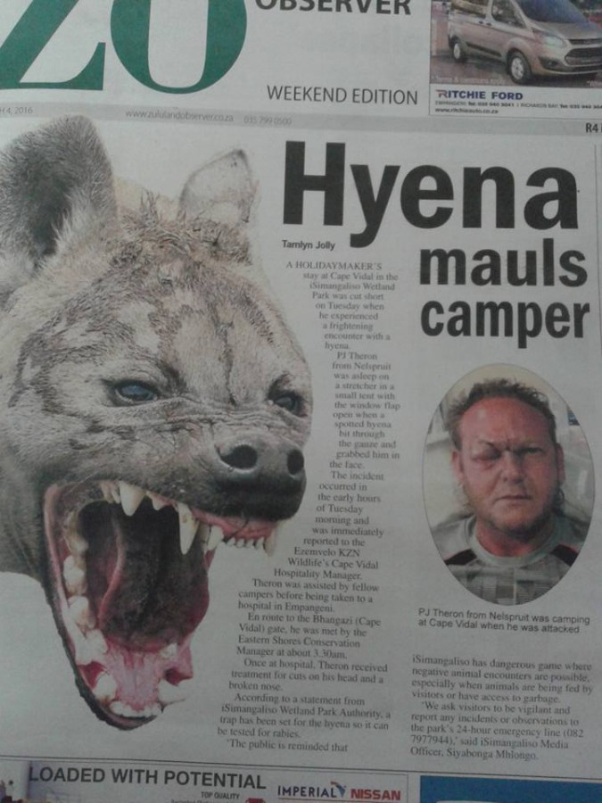 Hyena newspaper article