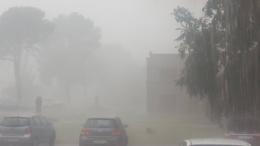 West Freestate rain West Freestate rain