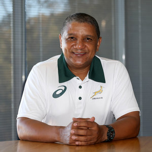 Allister Coetzee springbok coach
