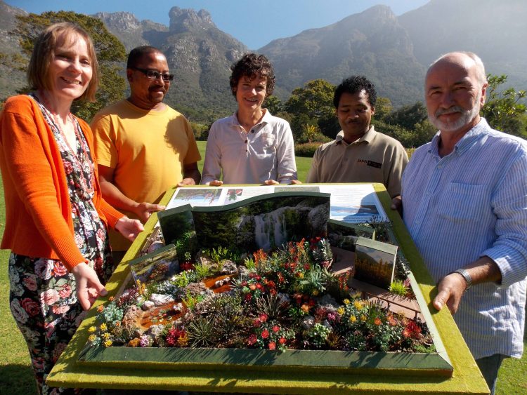 kirstenbosch chelsea
