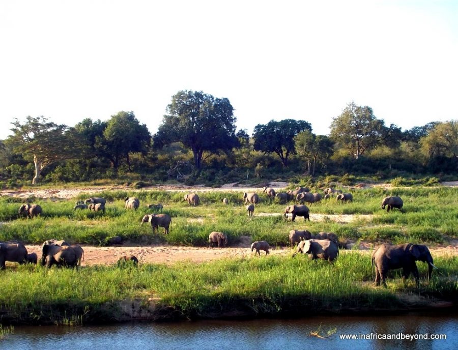 Mpumalanga