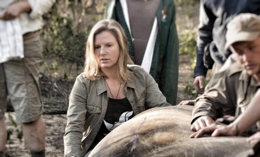 Jamie Joseph with rhino