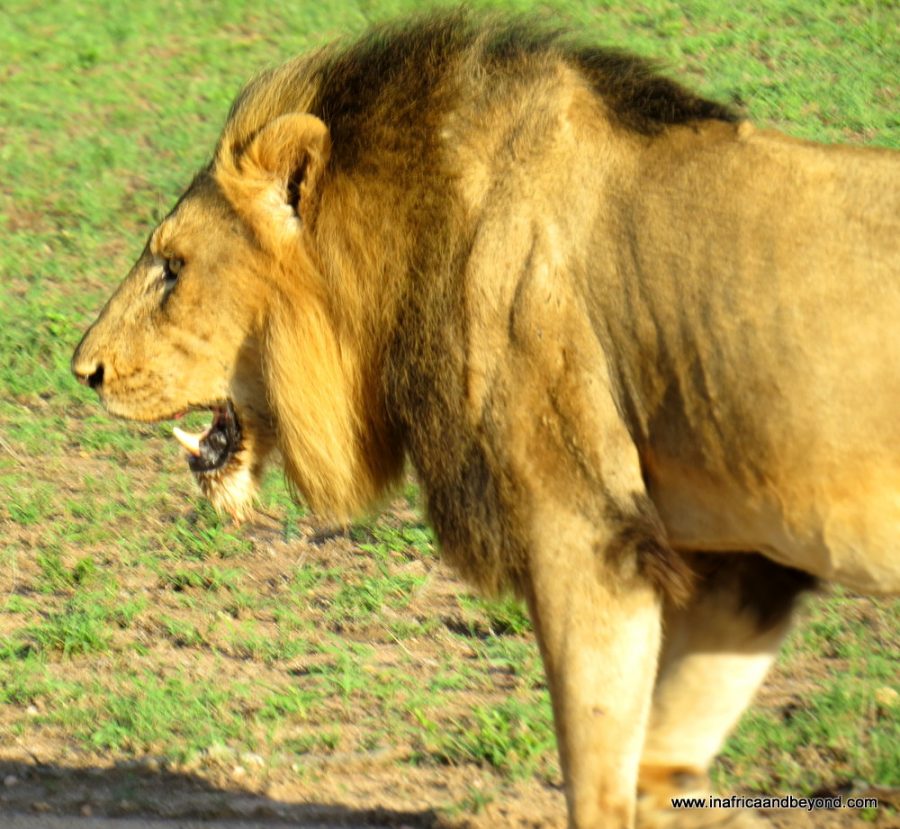 Mpumalanga