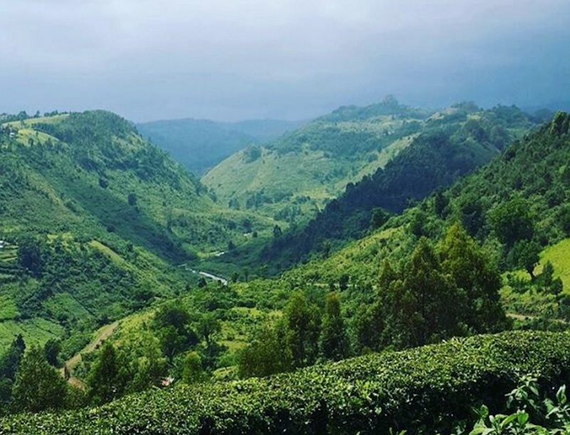 kenya