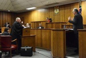 Psychologist Jonathan Scholtz (R) responds to questions by State Prosecutor Gerrie Nel during the sentencing of former Paralympian Oscar Pistorius for the murder of Reeva Steenkamp at the Pretoria High Court, South Africa June 13, 2016. REUTERS/Phill Magakoe/Pool