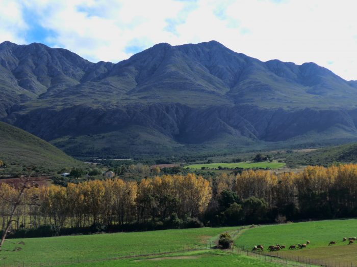 swartberg